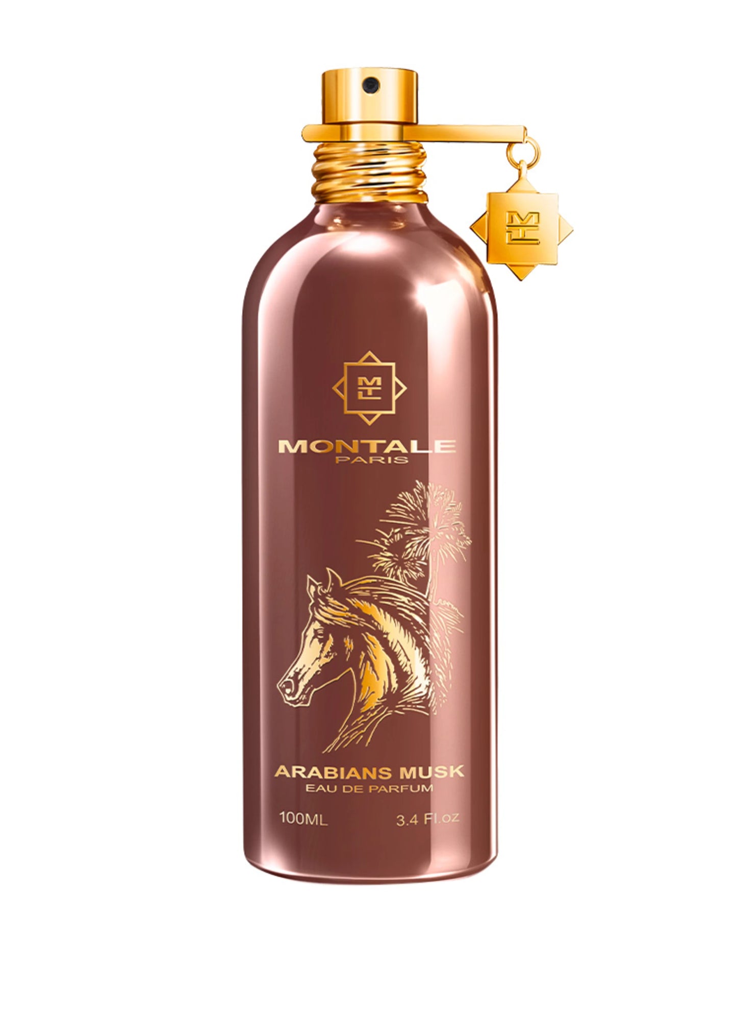Montale Arabians Musk 100ml EDP ohnew Folie